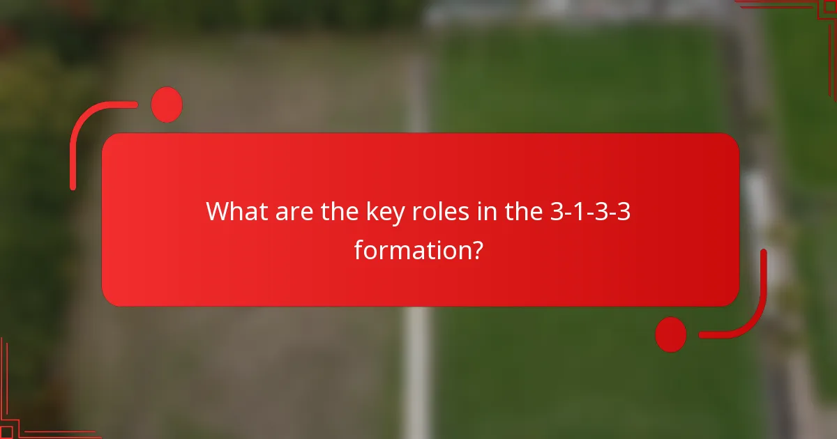 What are the key roles in the 3-1-3-3 formation?