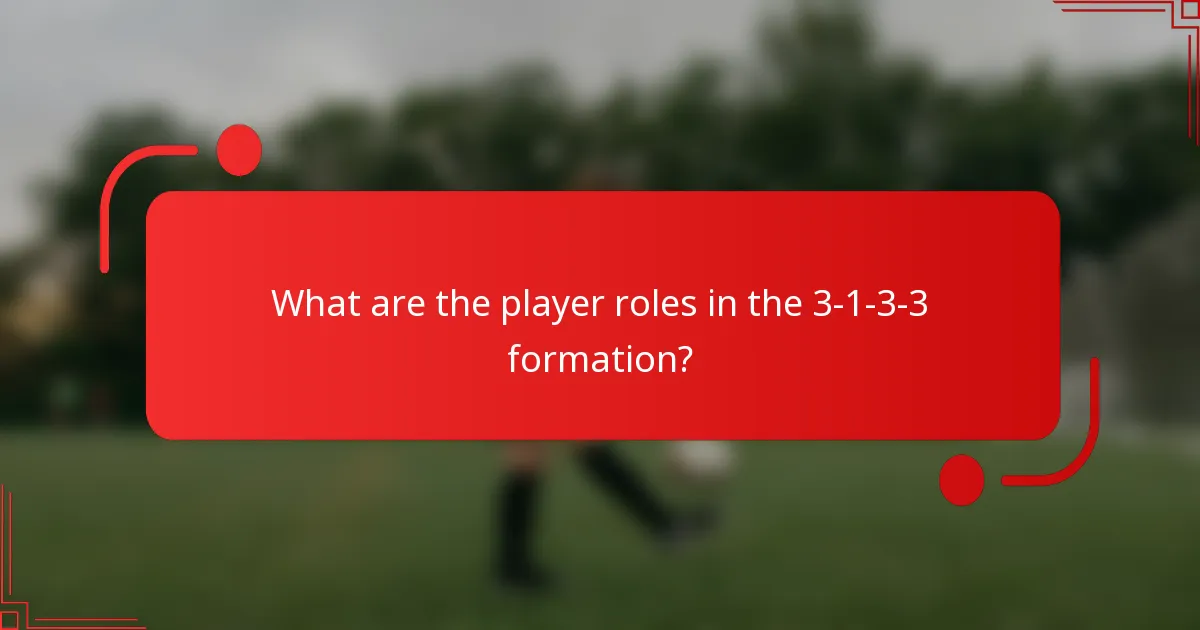 What are the player roles in the 3-1-3-3 formation?