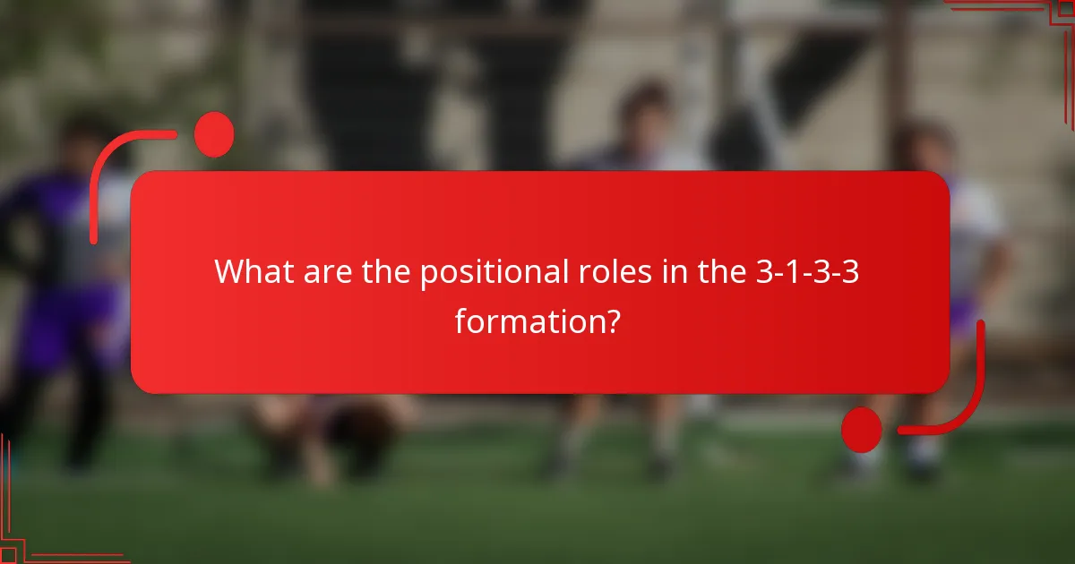 What are the positional roles in the 3-1-3-3 formation?