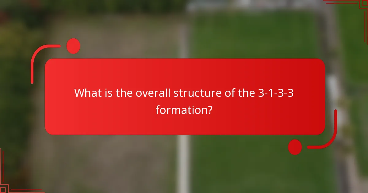 What is the overall structure of the 3-1-3-3 formation?