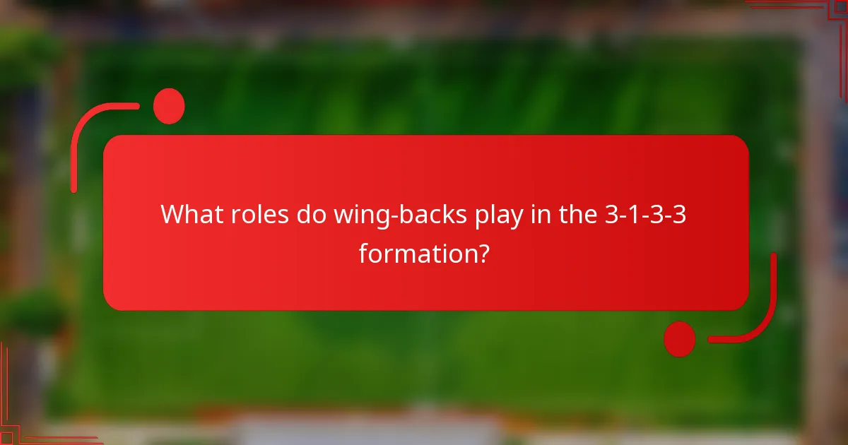 What roles do wing-backs play in the 3-1-3-3 formation?